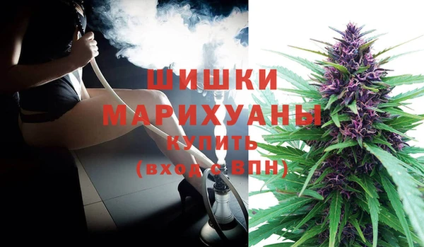 бошки Инта