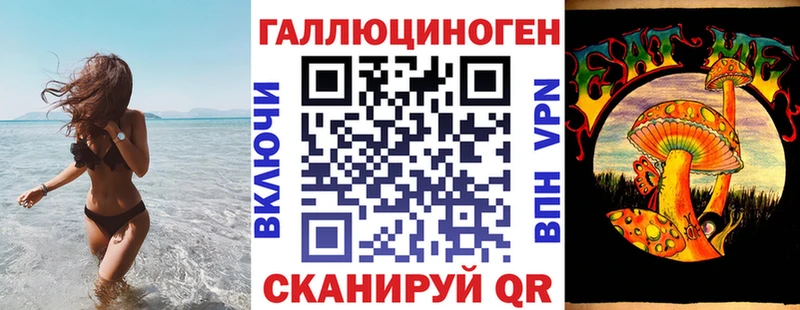 Псилоцибиновые грибы Magic Shrooms  Купить где  Камбарка 